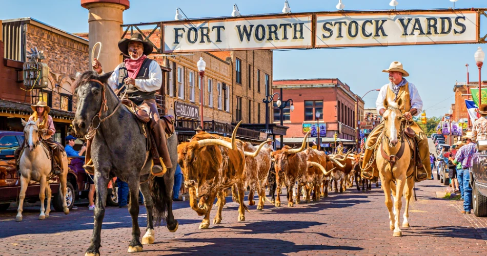Where To Experience Cowboy Culture In the USA?