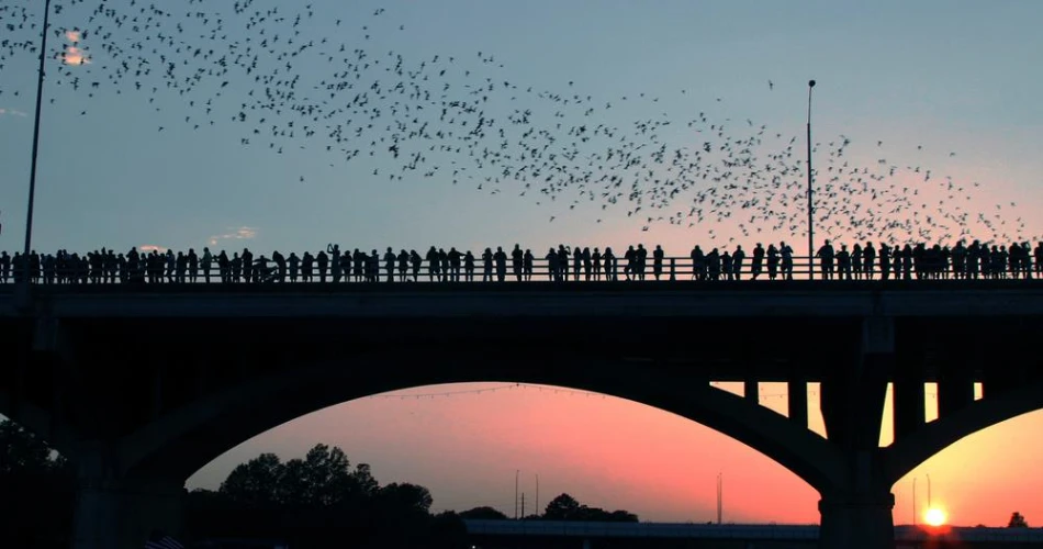 A Comprehensive Guide To Austin, Texas