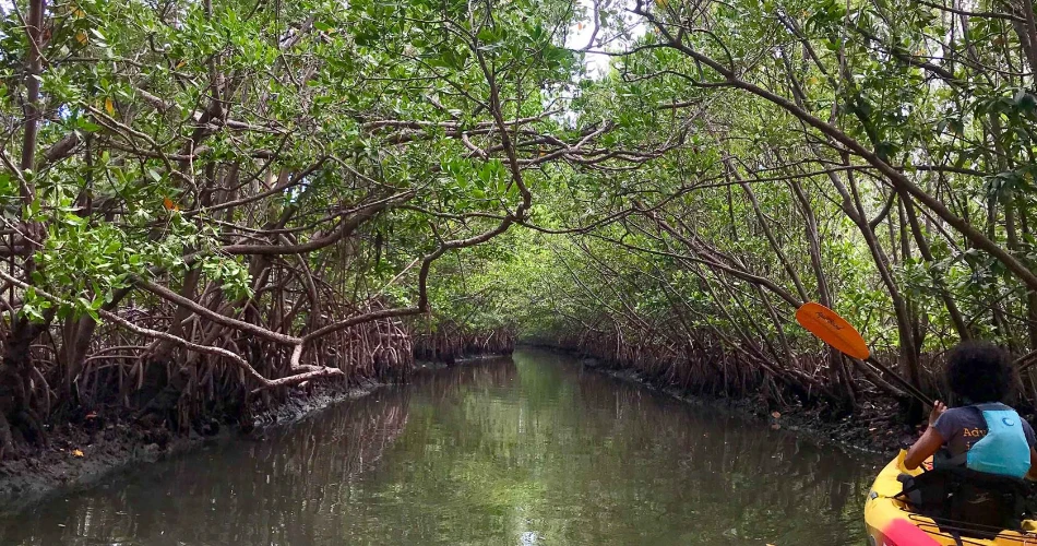 A Comprehensive Guide To Miami, Florida