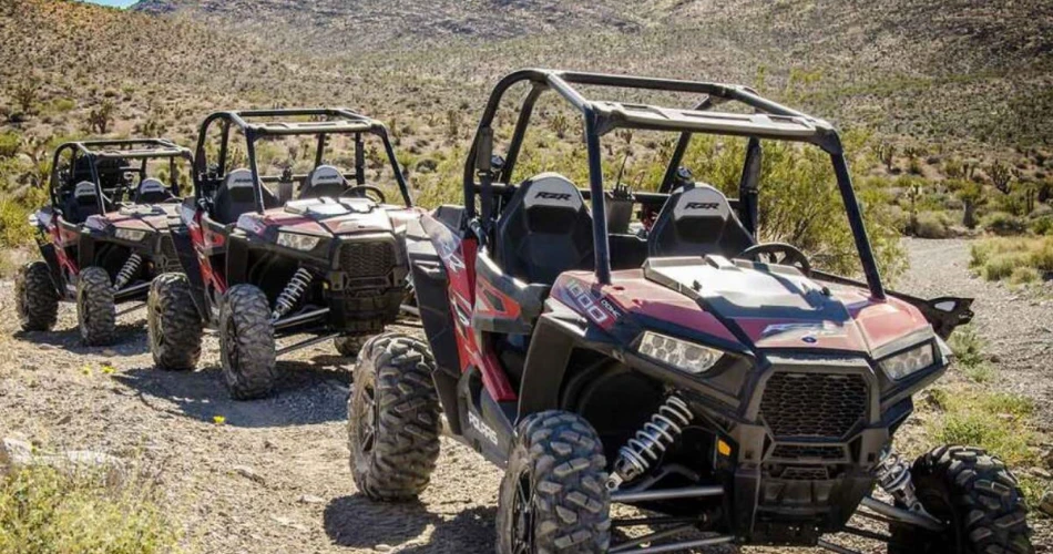 A Comprehensive Guide to Las Vegas, Nevada