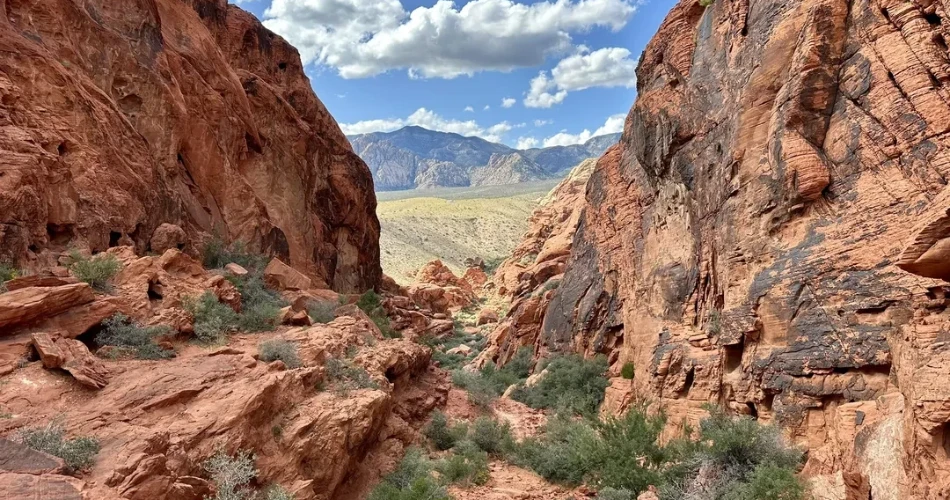 A Comprehensive Guide to Las Vegas, Nevada