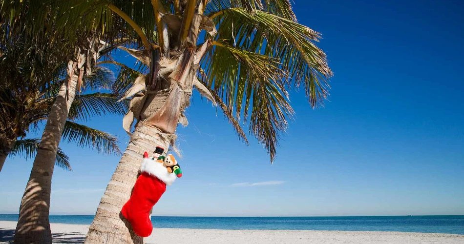 Beach vs. Mountains: Where Should You Go for Your Next American Gateway?