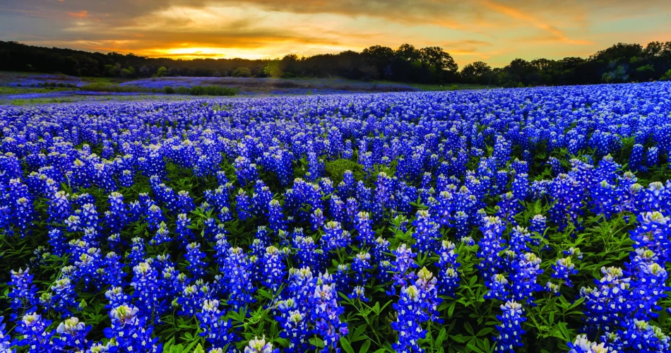 10 Best American Road Trips That Aren’t Route 66