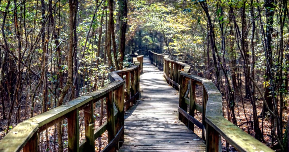 7 Underrated U.S. National Parks to Visit Before the Crowds Catch On