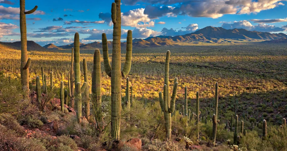 7 Underrated U.S. National Parks to Visit Before the Crowds Catch On