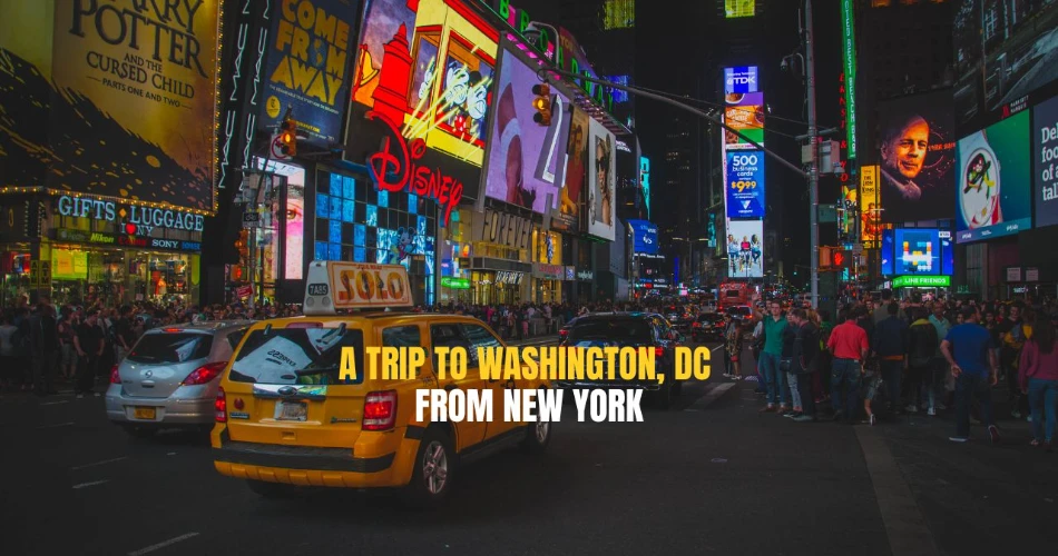A Trip to Washington, DC From New York