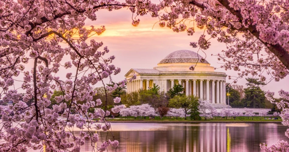 A Trip to Washington, DC From New York