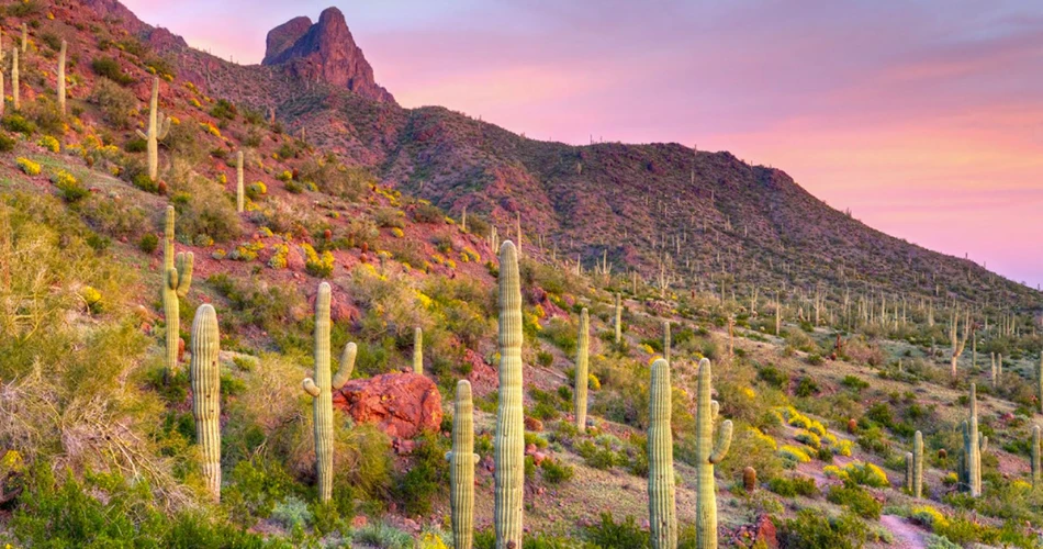 Best Sunset Views in America