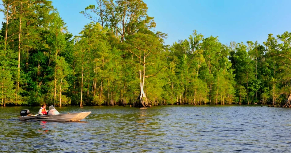 A Tour of America's Greatest Swamp