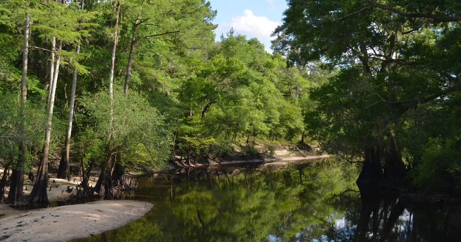 A Tour of America's Greatest Swamp