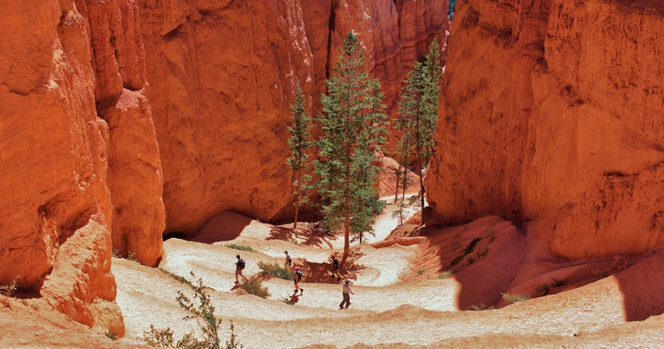 A Guide to the Bryce Canyon National Park