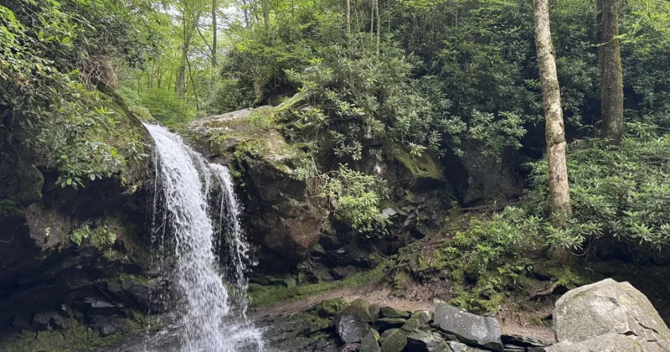 10 Best Hikes in the Great Smoky Mountain National Park