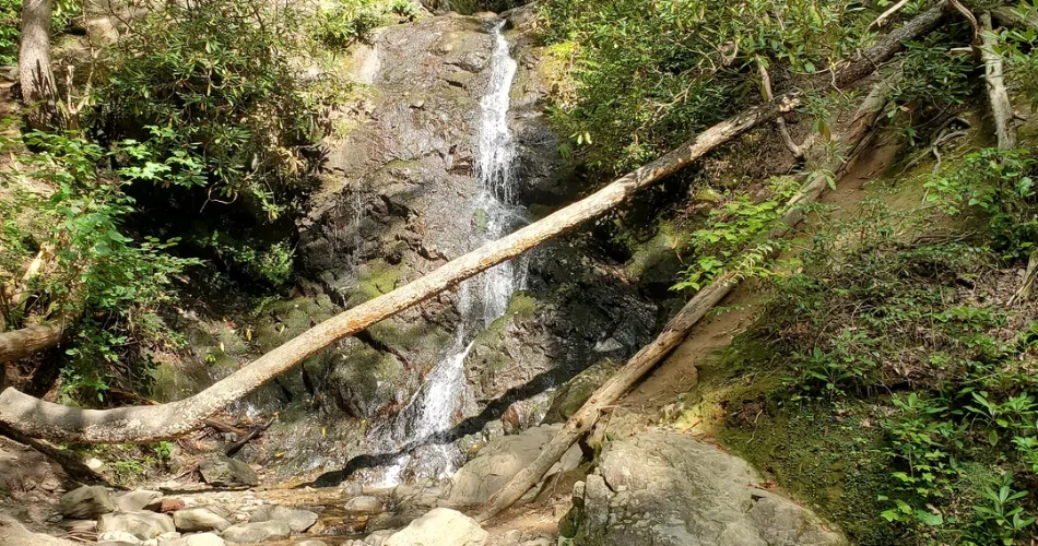 10 Best Hikes in the Great Smoky Mountain National Park