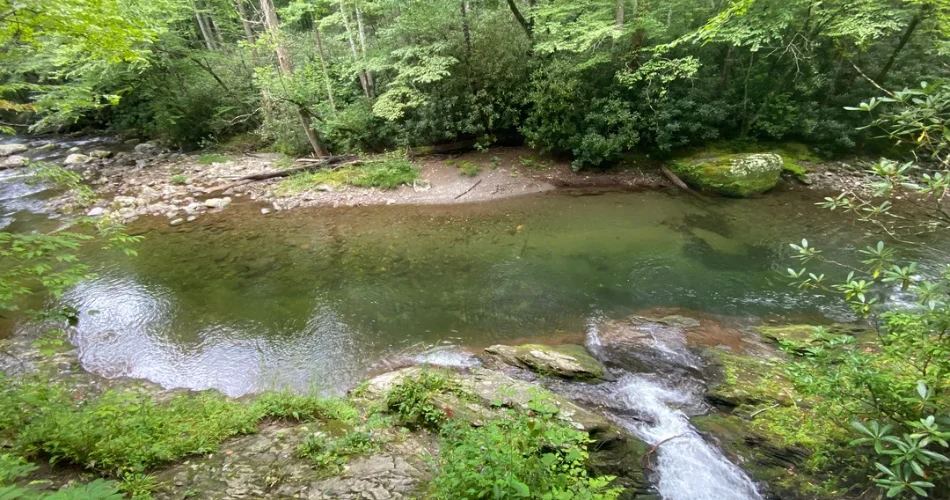 10 Best Hikes in the Great Smoky Mountain National Park