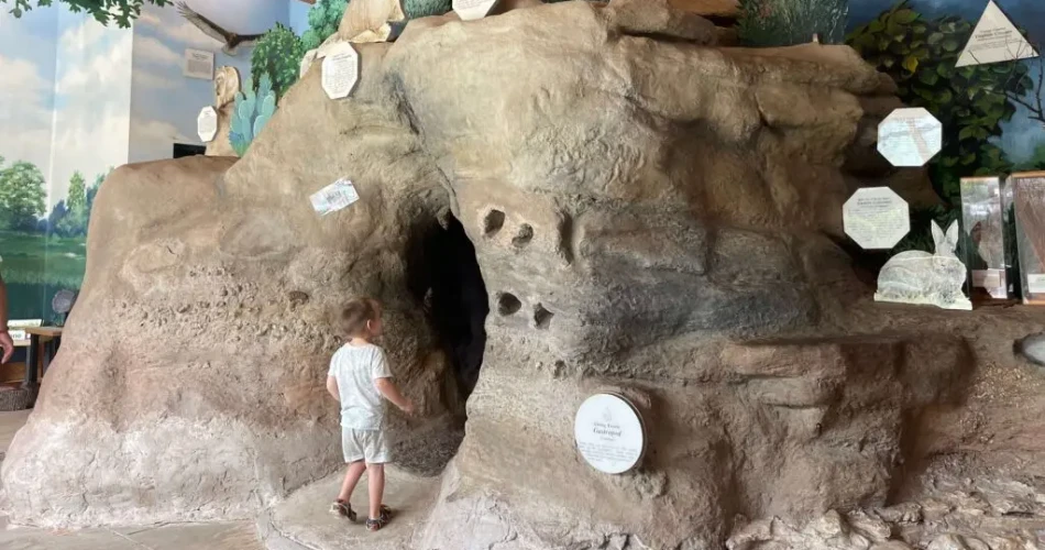 Free Things to Do in Austin That Are Actually Worth It