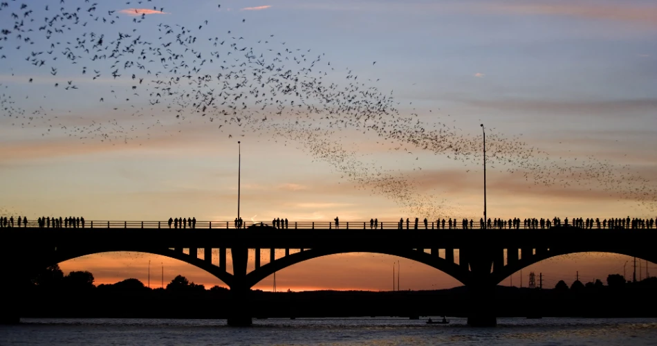 Free Things to Do in Austin That Are Actually Worth It