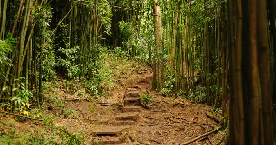 10 Best Hikes in Hawaii for Breathtaking Views
