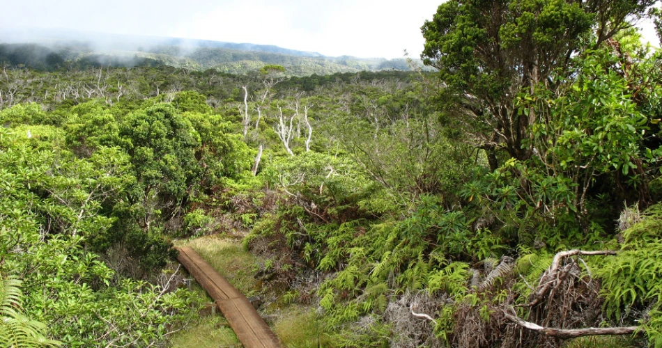 10 Best Hikes in Hawaii for Breathtaking Views