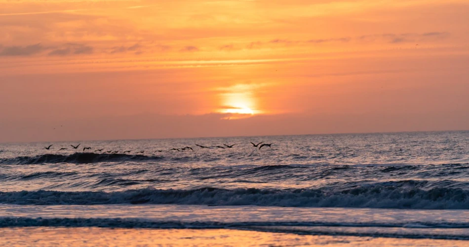 10 Best Beaches Near Charlotte, NC