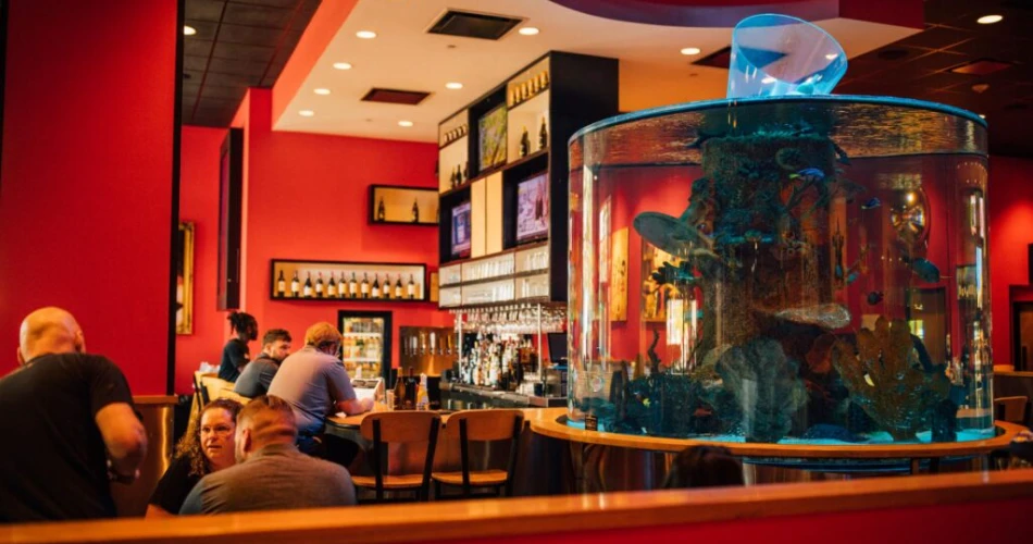 10 Places Where Locals Love to Eat in Charlotte