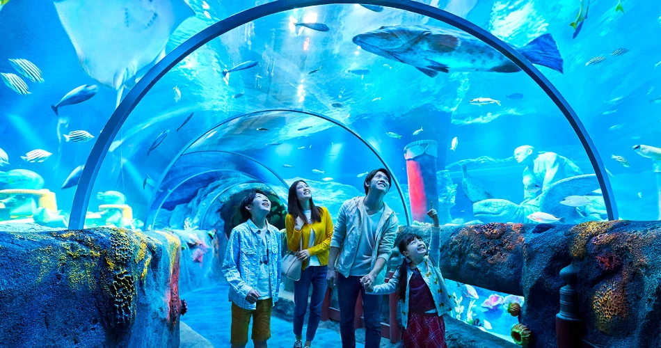 Top 19 Things to Do at the American Dream Mall That Are Not Shopping