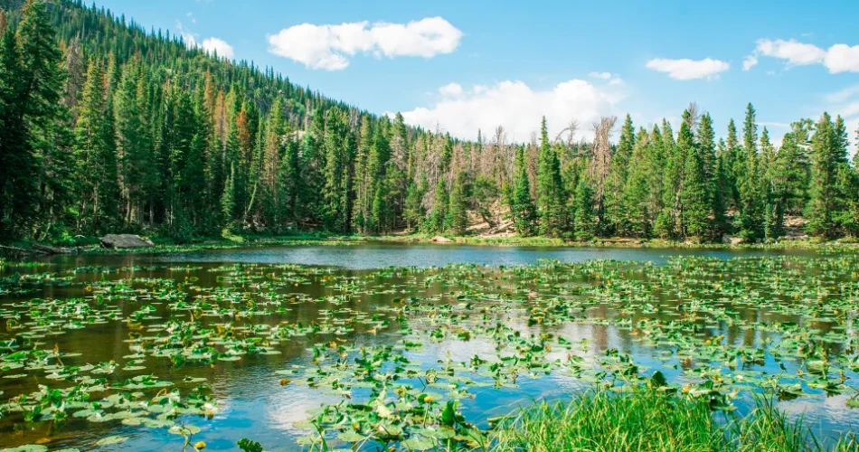 Best Hikes in Colorado: 15 Trails You’ll Absolutely Love