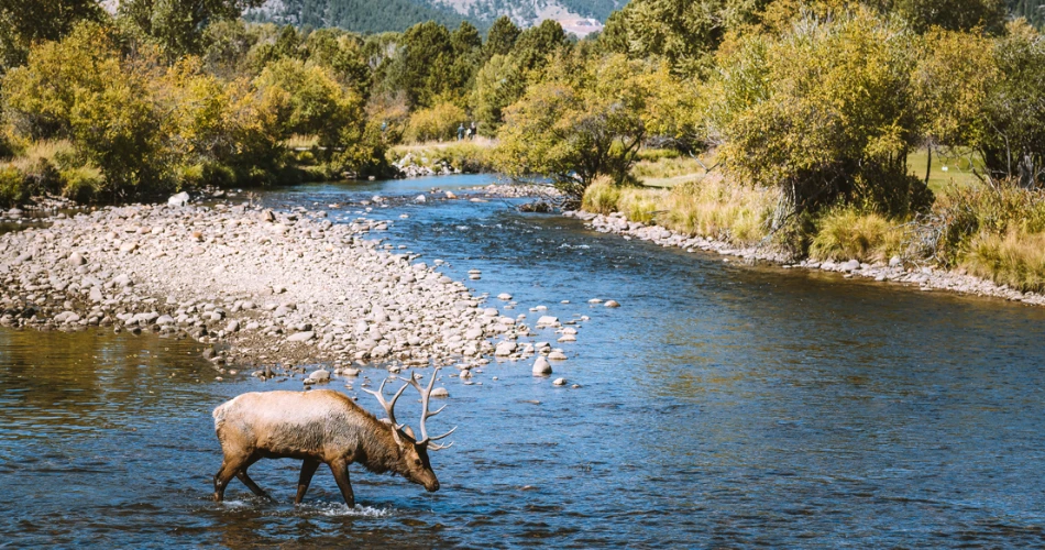15 Best Colorado Mountain Towns