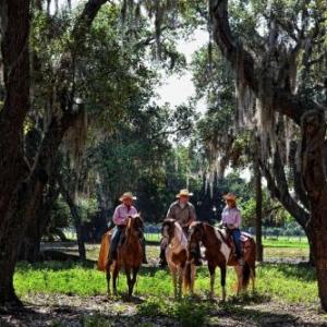 Westgate River Ranch Resort  Rodeo