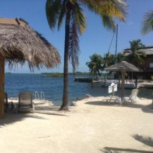 Blackfin Resort