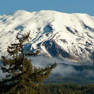 Lone Fir Resort