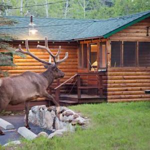 Idlewilde by the River Estes Park