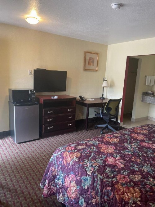 village inn - image 10