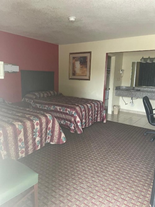 village inn - image 14
