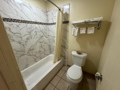 village inn - image 3