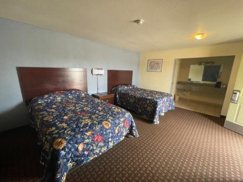 village inn - image 30