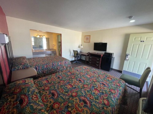 village inn - image 32
