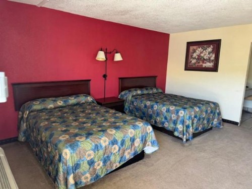 village inn - image 4