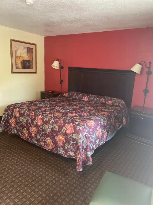 village inn - image 9
