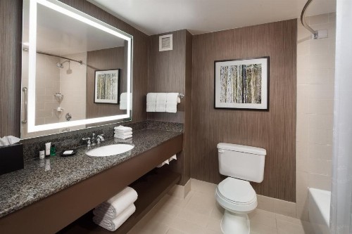 Sheraton Agoura Hills Hotel - image 10