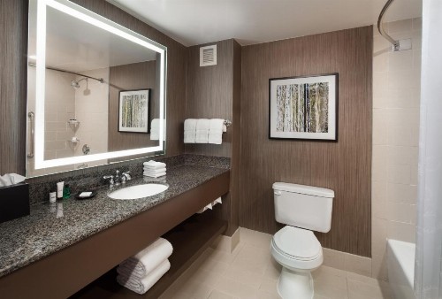Sheraton Agoura Hills Hotel - image 3
