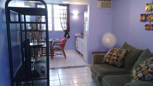 Tropical Island - image 10