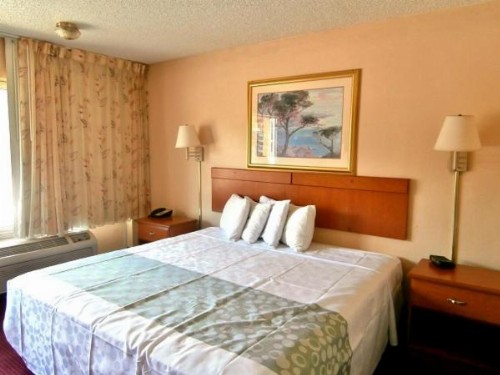 Americas Best Value Inn Alachua - image 10