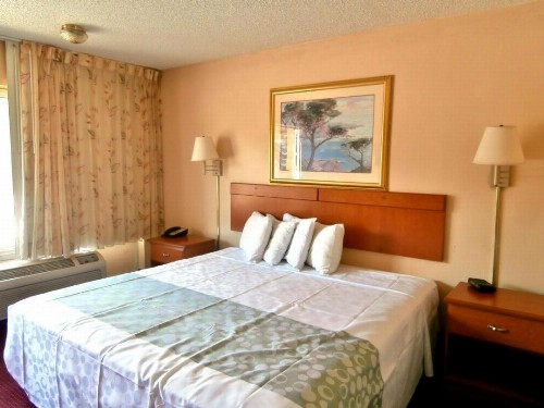 Americas Best Value Inn Alachua - image 7