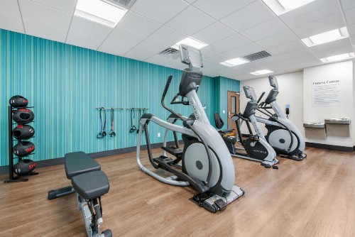 Holiday Inn Express & Suites Alachua - Gainesville Area an IHG Hotel - image 16
