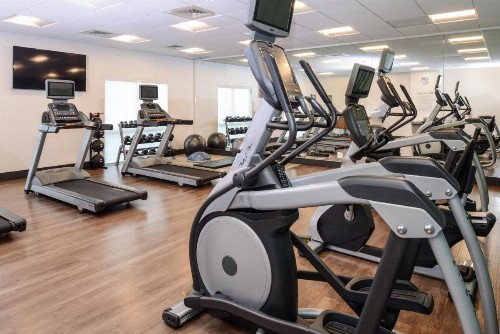 Holiday Inn Express & Suites Alachua - Gainesville Area an IHG Hotel - image 36