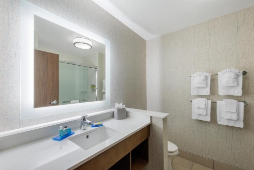 Holiday Inn Express & Suites Alachua - Gainesville Area an IHG Hotel - image 8