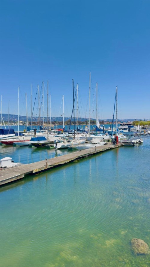 Marina Village Inn - image 5
