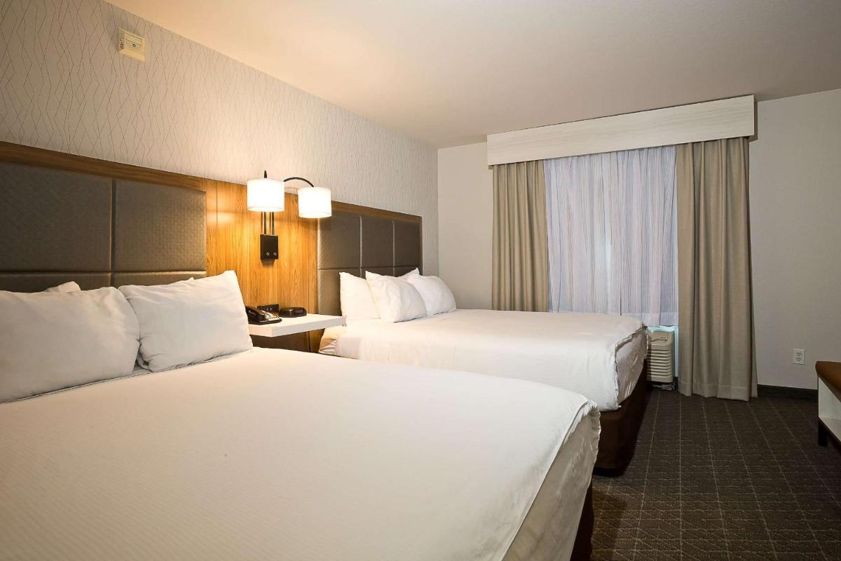Hawthorn Suites by Wyndham-Oakland/Alameda - image 4
