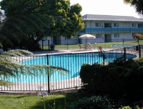 Coral Reef Inn & Condo Suites - image 3