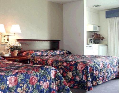 Coral Reef Inn & Condo Suites - image 4